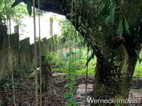Imagem Terreno à Venda, 1.000 m² em Santa Rita - Ubatuba Imagem Terreno à Venda, 1.000 m² em Santa Rita - Ubatuba