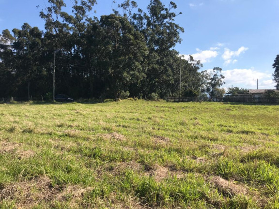 Imagem Terreno à Venda, 19.946 m² em Centro - Terra De Areia Imagem Terreno à Venda, 19.946 m² em Centro - Terra De Areia
