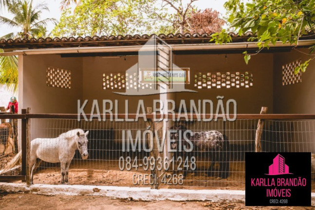 Imagem Imóvel com 3 Quartos à Venda, 250 m² em Zona Rural - Macaíba Imagem Imóvel com 3 Quartos à Venda, 250 m² em Zona Rural - Macaíba