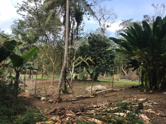 Imagem Terreno à Venda, 32 m² em Horto Florestal - Ubatuba