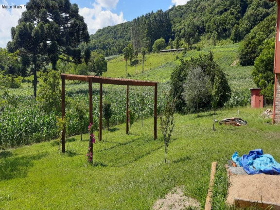 Imagem Imóvel com 4 Quartos à Venda, 300 m² em Pinhal Alto - Nova Petrópolis