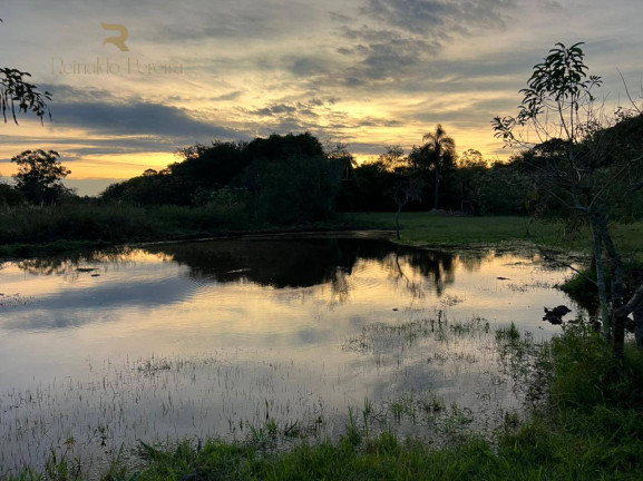 Imagem Chácara com 1 Quarto à Venda, 5.000 m² em Poço Fundo - Parobé