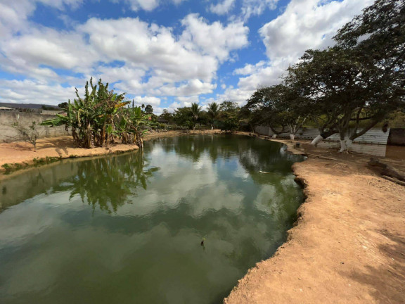 Chácara com 1 Quarto à Venda, 5.600 m² em Centro - Igarapé