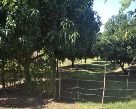 Imagem Imóvel à Venda,  em . - Tanguá