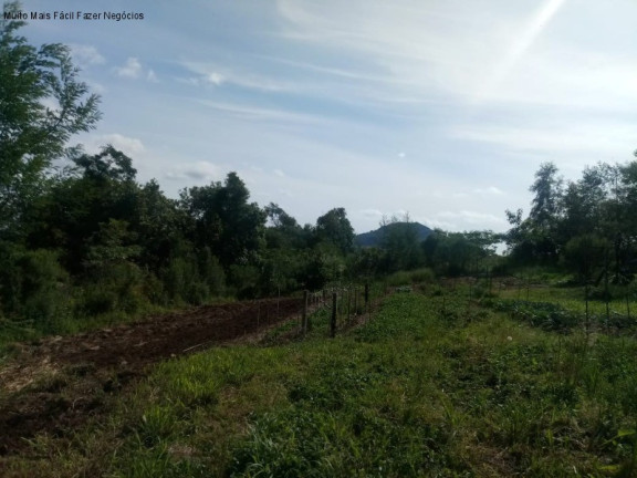 Imagem Terreno à Venda, 4 m² em Pinhal Alto - Nova Petrópolis