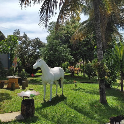 Imagem Imóvel com 4 Quartos à Venda, 3.000 m² em São José - Guarapari Imagem Imóvel com 4 Quartos à Venda, 3.000 m² em São José - Guarapari