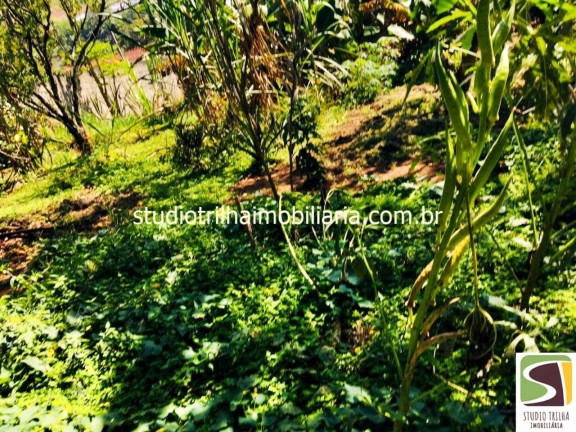 Imagem Imóvel com 3 Quartos à Venda, em Jardim Santa Hermínia - São José Dos Campos Imagem Imóvel com 3 Quartos à Venda, em Jardim Santa Hermínia - São José Dos Campos