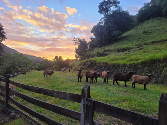 Chácara com 3 Quartos à Venda, 147.000 m² em Zona Rural - Sinimbu