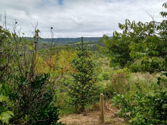 Imagem Fazenda à Venda, 64.288 m² em Barra Avencal - Rio Dos Cedros Imagem Fazenda à Venda, 64.288 m² em Barra Avencal - Rio Dos Cedros