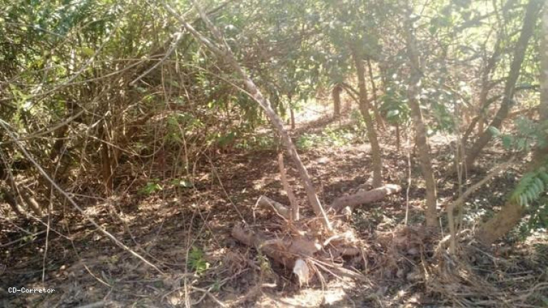 Imagem Terreno à Venda, 10.000 m² em Camanducaia Do Meio - Socorro