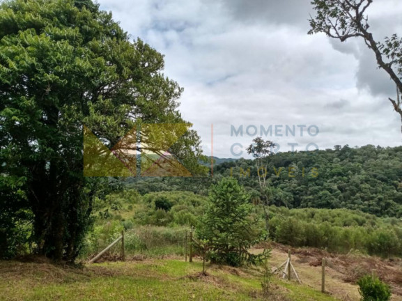 Imagem Fazenda à Venda, 64.288 m² em Barra Avencal - Rio Dos Cedros Imagem Fazenda à Venda, 64.288 m² em Barra Avencal - Rio Dos Cedros