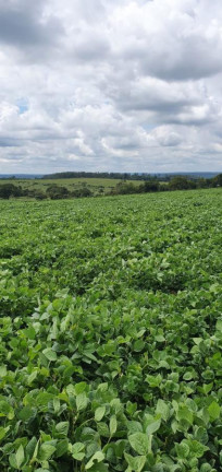 Imagem Fazenda à Venda, 171 m² em Rural - Cabrália Paulista Imagem Fazenda à Venda, 171 m² em Rural - Cabrália Paulista