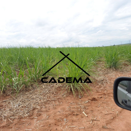Imagem Chácara com 7 Quartos à Venda, 35 m² em Zona Rural - Mogi Guaçu Imagem Chácara com 7 Quartos à Venda, 35 m² em Zona Rural - Mogi Guaçu