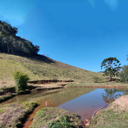 Chácara com 2 Quartos à Venda, 24.200 m² em Bom Repouso