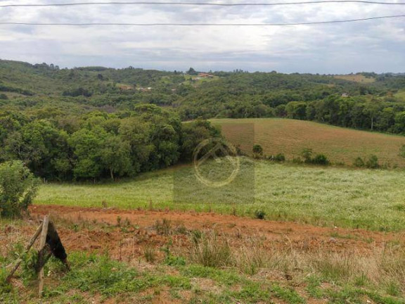 Imagem Chácara com 4 Quartos à Venda, 38.000 m² em Roça Velha - São José Dos Pinhais