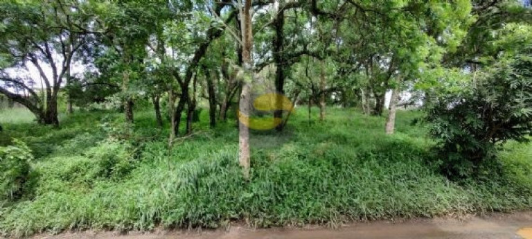 Imagem Terreno à Venda, 1.048 m² em Jardim Colibri - Cotia Imagem Terreno à Venda, 1.048 m² em Jardim Colibri - Cotia