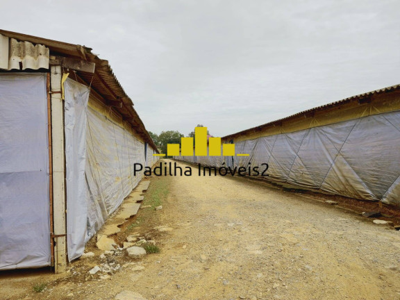 Imagem Chácara à Venda, 23 m² em Itapetininga Imagem Chácara à Venda, 23 m² em Itapetininga