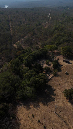 Imagem Fazenda à Venda, em Sinop Imagem Fazenda à Venda, em Sinop