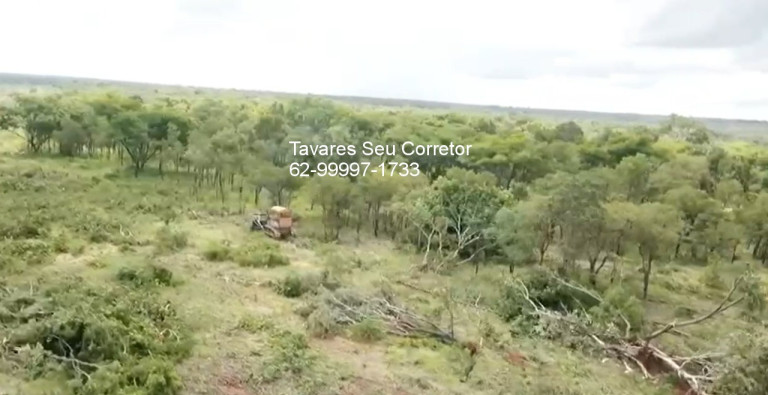 Imagem Imóvel à Venda, 250 m² em Zona Rural - Balsas Imagem Imóvel à Venda, 250 m² em Zona Rural - Balsas