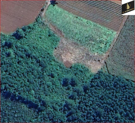 Imagem Imóvel com 3 Quartos à Venda, 48.000 m² em Bairro Retiro - Campo Magro