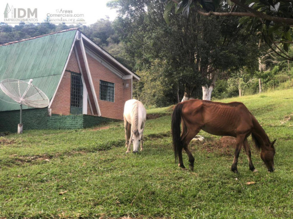 Imagem Chácara à Venda, 853.800 m² em Centro - Carvalhos