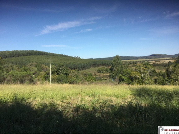 Imóvel com 3 Quartos à Venda, 570.000 m² em Zona Rural - Tapes