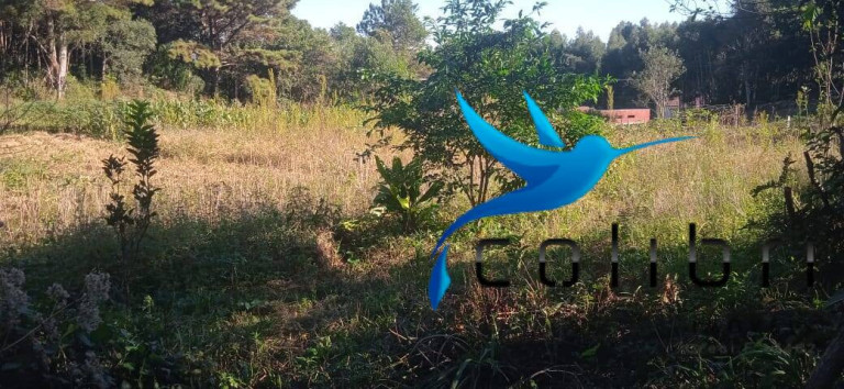 Imagem Chácara com 2 Quartos à Venda, 6.655 m² em Taboão - Agudos Do Sul