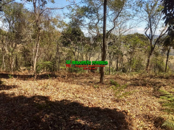 Imagem Chácara à Venda, 30.000 m² em Centro - Monteiro Lobato Imagem Chácara à Venda, 30.000 m² em Centro - Monteiro Lobato