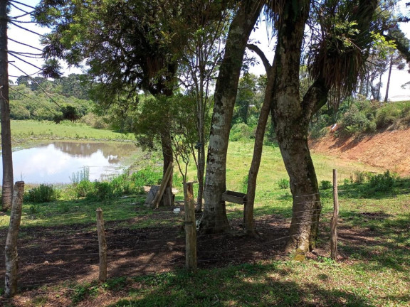 Imagem Chácara com 4 Quartos à Venda, em Centro - Mandirituba Imagem Chácara com 4 Quartos à Venda, em Centro - Mandirituba
