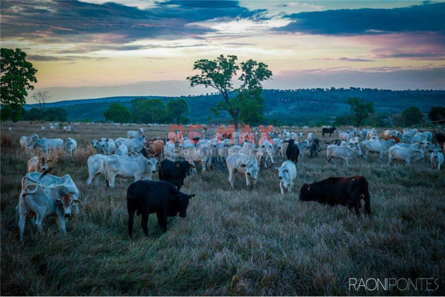 Imagem Fazenda à Venda, 45.340.000 m² em Centro - Figueirão - Figueirão