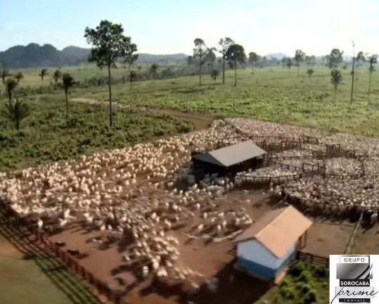 Foto do imóvel Imóvel à Venda, 427.000 m² em Marabá - Marabá