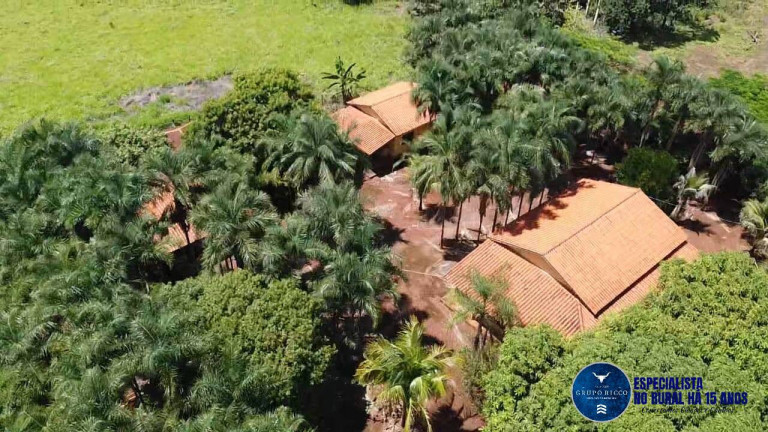 Fazenda à Venda, 27 m² em Zona Rural - Acreúna