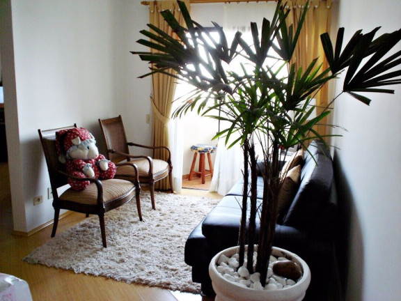 Imagem Apartamento com 2 Quartos à Venda, 65 m² em Vila Congonhas - São Paulo Imagem Apartamento com 2 Quartos à Venda, 65 m² em Vila Congonhas - São Paulo