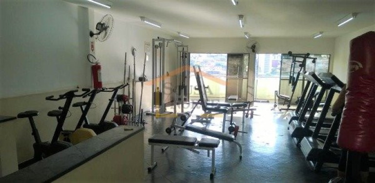 Imagem Apartamento com 3 Quartos à Venda, 67 m² em Limão - São Paulo