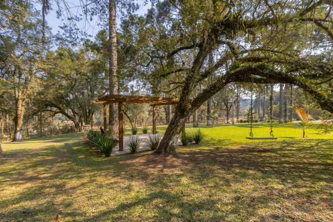 Imagem Imóvel com 4 Quartos à Venda, 37.906 m² em Ouro Verde - Campo Largo