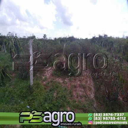 Imagem Fazenda à Venda, 45.000.000 m² em Alto Do Pinho - São Luís Imagem Fazenda à Venda, 45.000.000 m² em Alto Do Pinho - São Luís