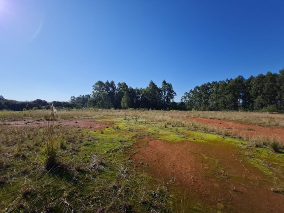 Ponto Comercial à Venda, 26.000 m² em Centro - Vera Cruz