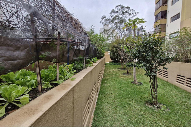 Imagem Apartamento com 4 Quartos à Venda, 122 m² em Morumbi - São Paulo