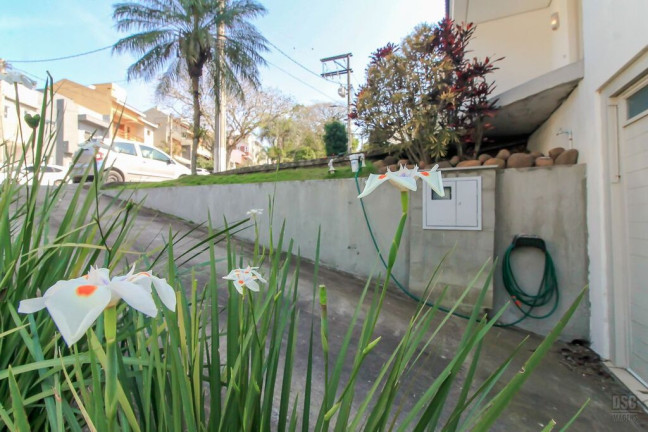 Imagem Casa de Condomínio com 3 Quartos à Venda, 205 m² em Vila Nova - Porto Alegre