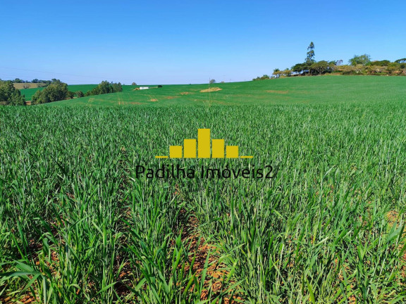 Imagem Fazenda à Venda, 136 m² em Capão Bonito