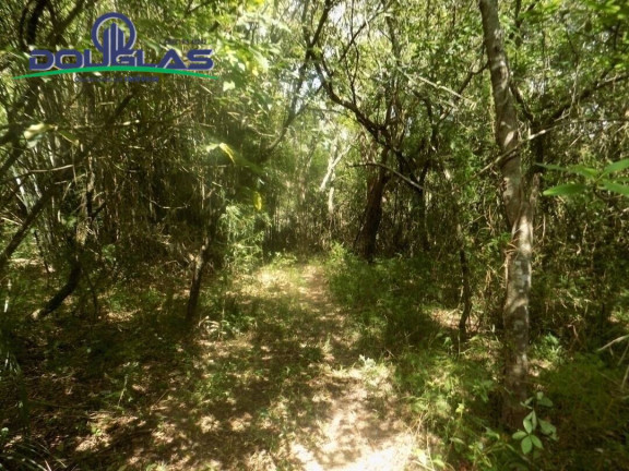 Imagem Imóvel Comercial à Venda, em Viamão Imagem Imóvel Comercial à Venda, em Viamão