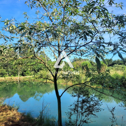 Imagem Fazenda à Venda, 40 m² em Vila Nova - Cruz Alta Imagem Fazenda à Venda, 40 m² em Vila Nova - Cruz Alta
