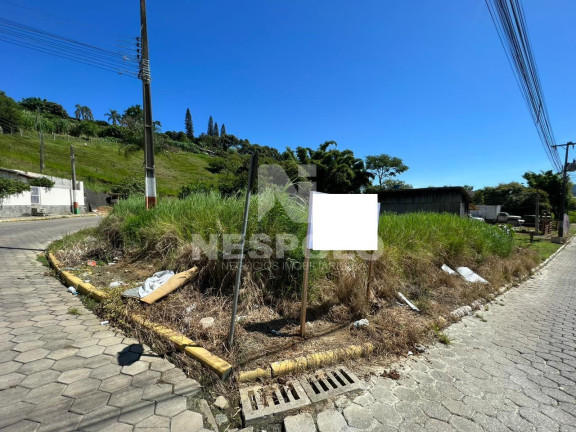 Imagem Terreno à Venda, em Areias - Camboriu Imagem Terreno à Venda, em Areias - Camboriu