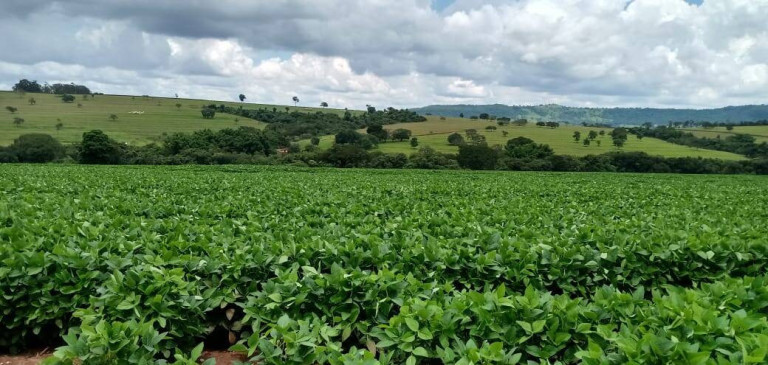 Imagem Chácara à Venda, em Centro - Itamogi Imagem Chácara à Venda, em Centro - Itamogi