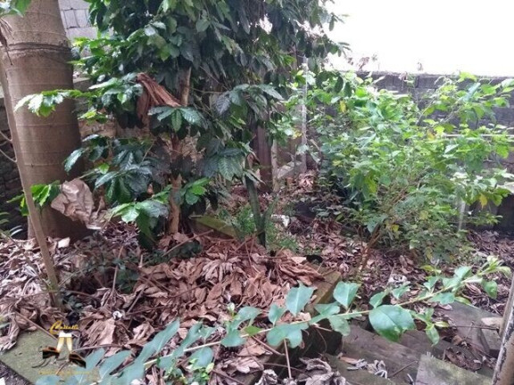 Imagem Terreno à Venda, 300 m² em Vila Gumercindo - São Paulo Imagem Terreno à Venda, 300 m² em Vila Gumercindo - São Paulo