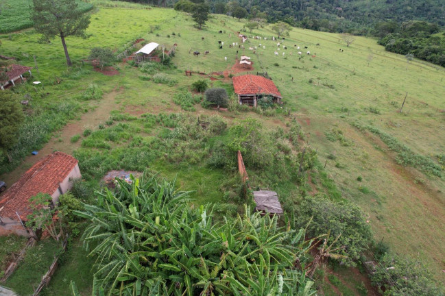 Imagem Chácara à Venda, 17 m² em Zona Rural - Cajuru