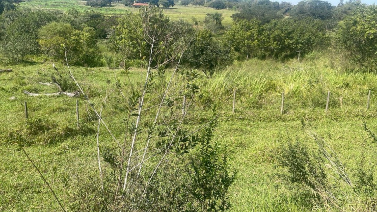Imagem Imóvel com 3 Quartos à Venda, 45.000 m² em Rio Verde - Bauru
