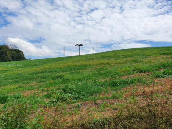 Imagem Terreno à Venda, 30 m² em Br 277 - Curitiba Imagem Terreno à Venda, 30 m² em Br 277 - Curitiba