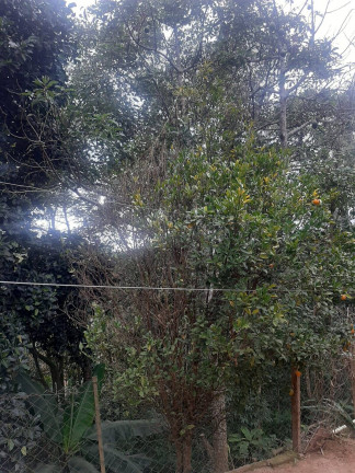 Imagem Chácara com 2 Quartos à Venda, 90 m² em Mairiporã