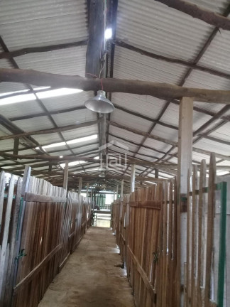 Imagem Imóvel com 1 Quarto à Venda, 20.000 m² em Bocaina (rural) - Caldas